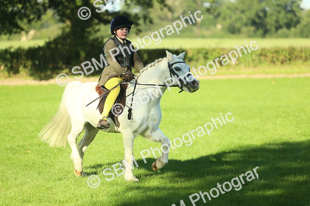 SBM_36302 - S29 - Novice & Newcomers Working Hunter Pony