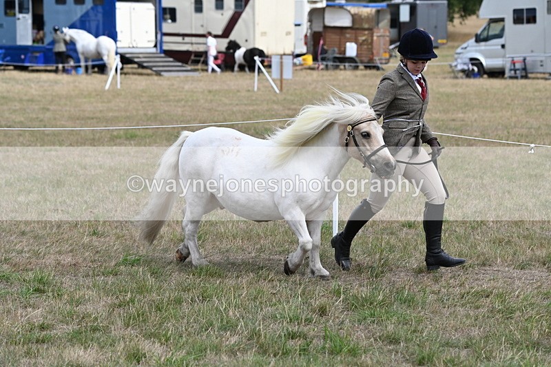 WJ6_5952 - Class 19 In-hand Veterans (Uploaded correct folder)