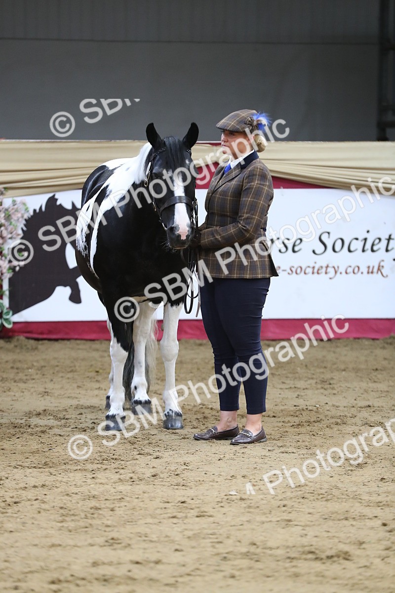 SBM_06443 - Class 9R Regional- IH Pre Vet