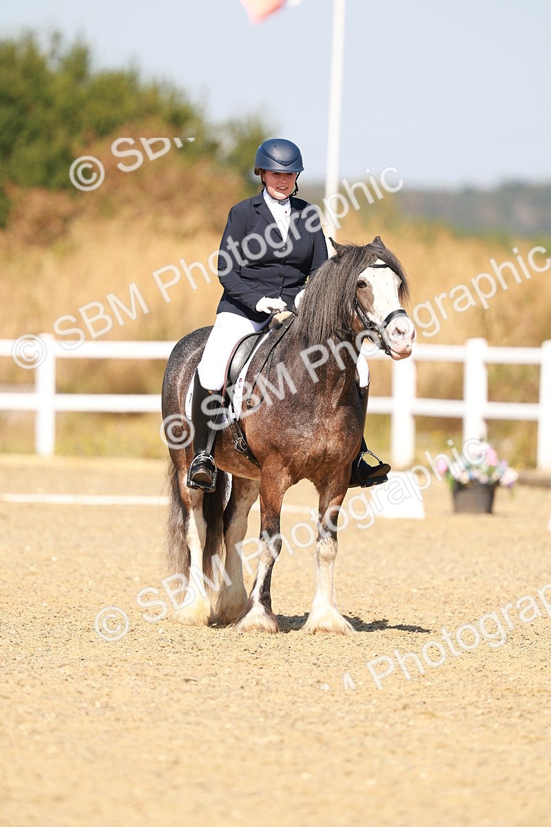 SBM_017811 - Class 9 - N5 Bronze 10.33.11.36