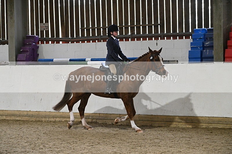 WJ7_4105 - Class 17 Ridden Cob