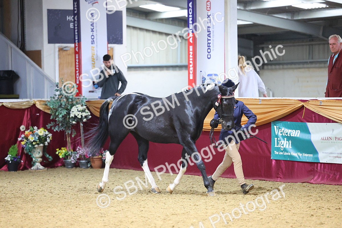 SBM_22788 - Class 903 - Supreme Final - IH Pre Vet