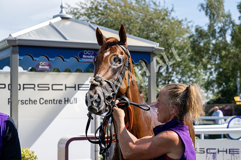 120826-Race 2-Empire Rising-5766 - Race 2 14.45pm 911 At Porsche Centre Hull EBF Restricted Maiden Stakes