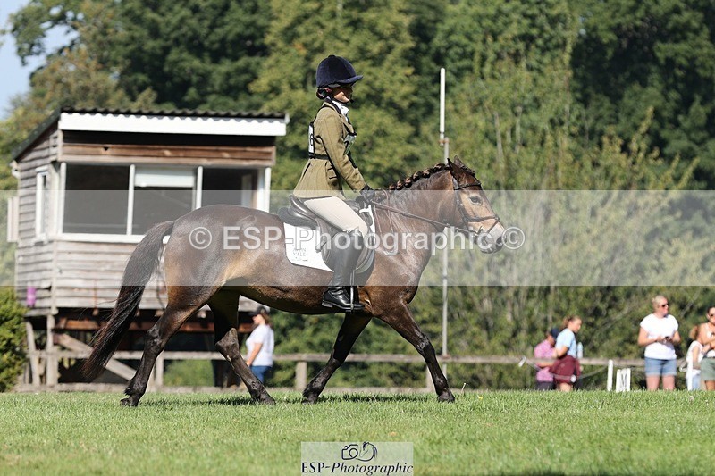 250823A-103010-27714 - Arena D