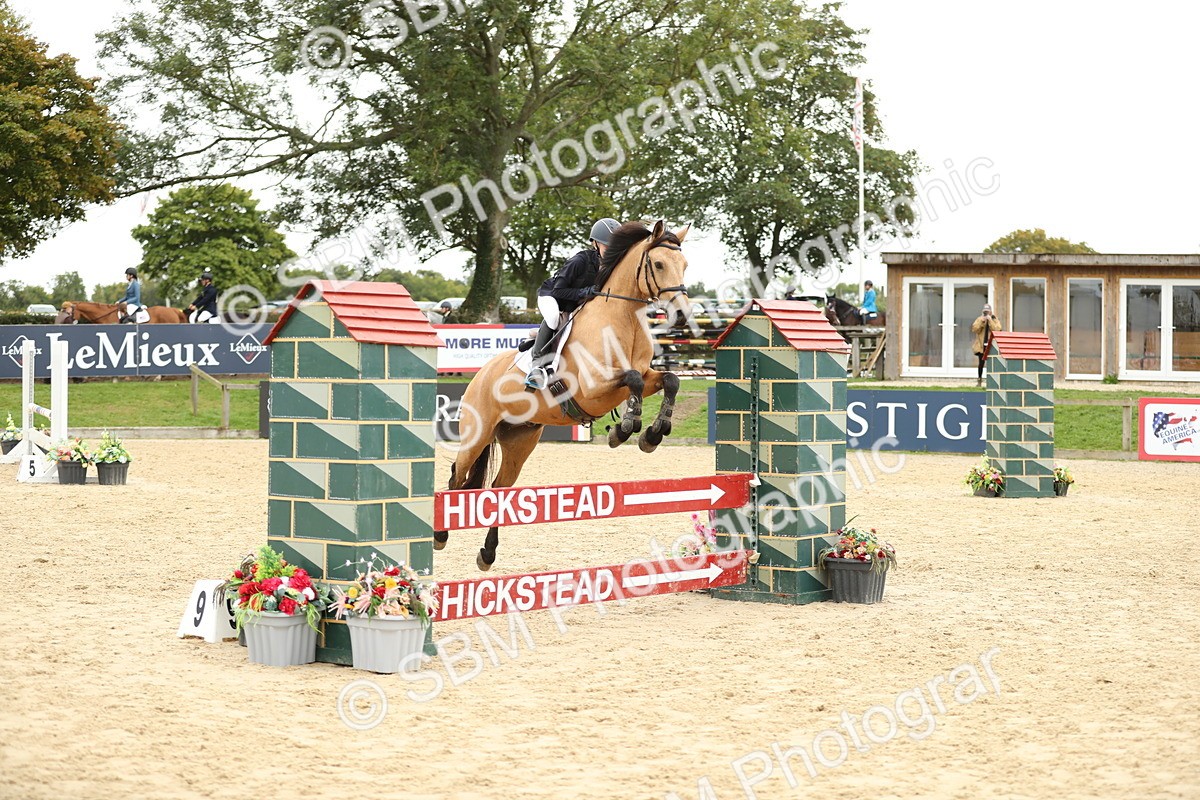 SBM_63125 - Supreme championship 75cm 80cm