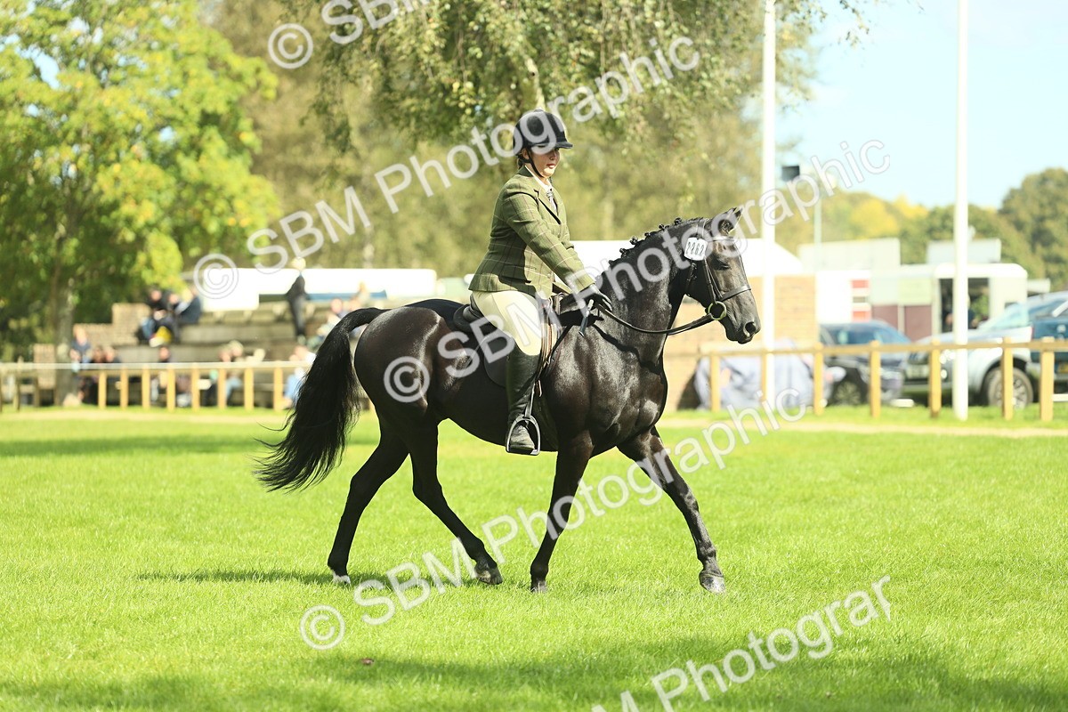SBM_42060 - S29 - Novice & Newcomers Working Hunter Pony