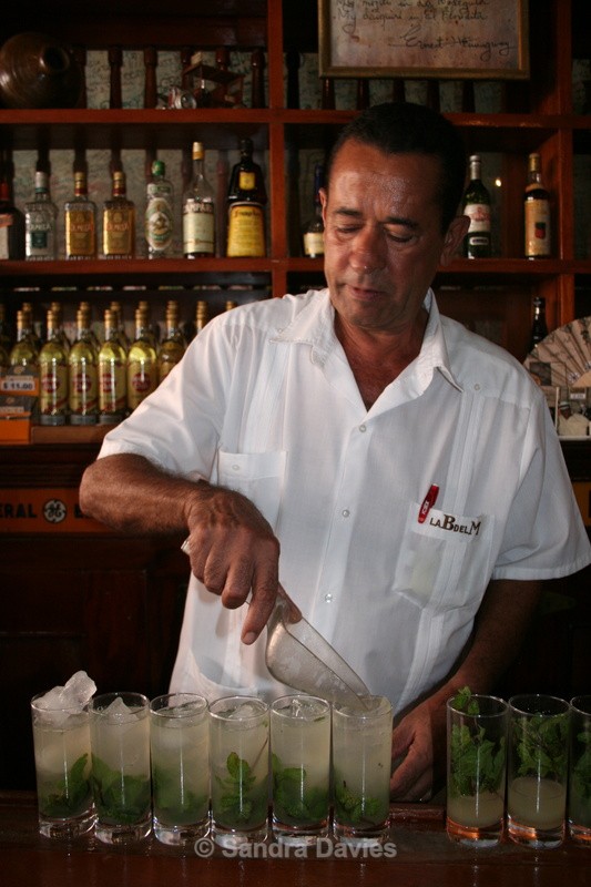 Mojitos in Hemingway's Local - Wildlife & People