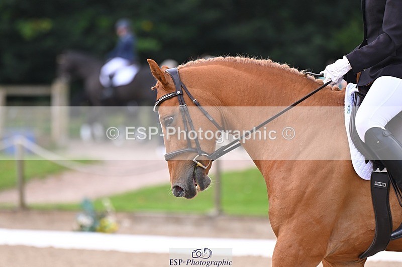 240809-101915-00149 - 107-Tamsin.OConnor-Riversides.Caballero