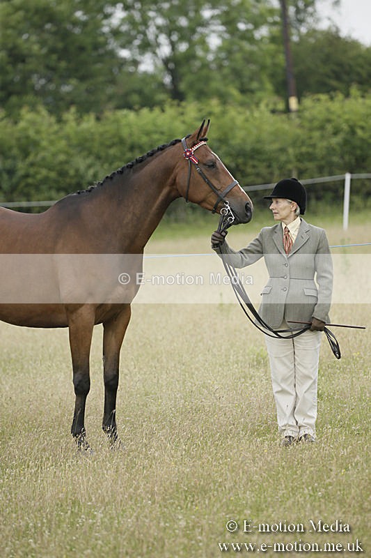 B230619-0251 - Bourne Valley Riding Club Summer Show 23/06/19