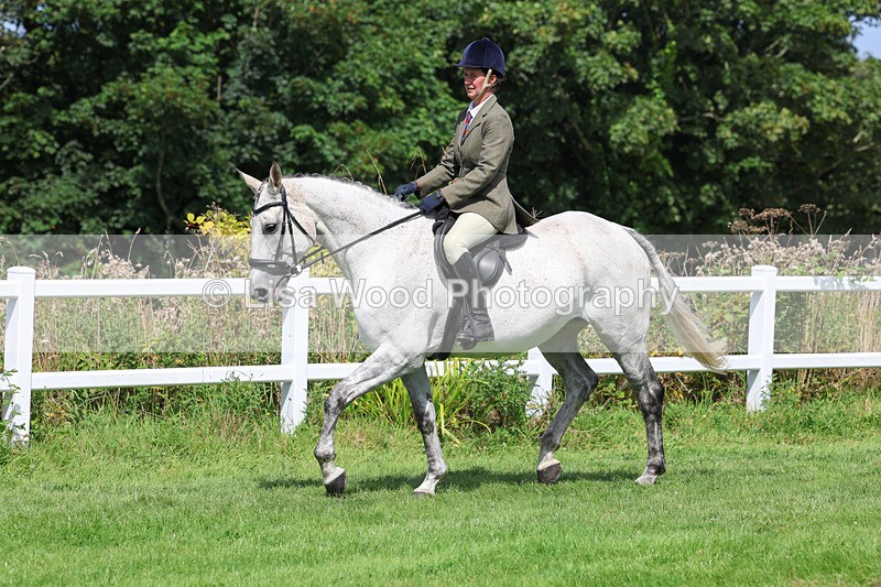 3E7A8692 - Class 5: Working Show Horse