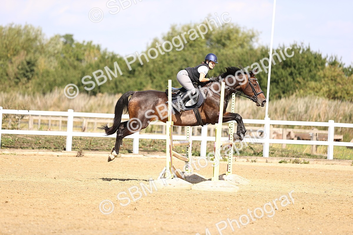 SBM_005709 - Class 9 - Senior British Novice - 90cm