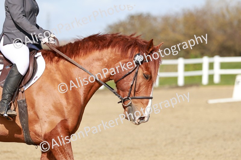 20260314-2830 - DR3 - Prelim 1