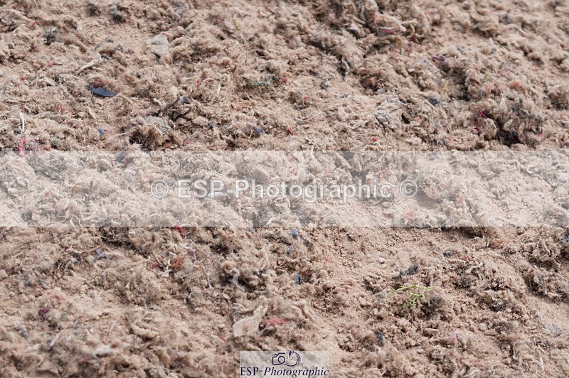 250608-115816-02540 - Cls 6 Pony Discovery 2nd Round