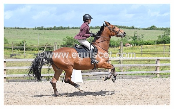 BPP_1115 - CLASS 4 FRI Newcomers/ 1.10m Open