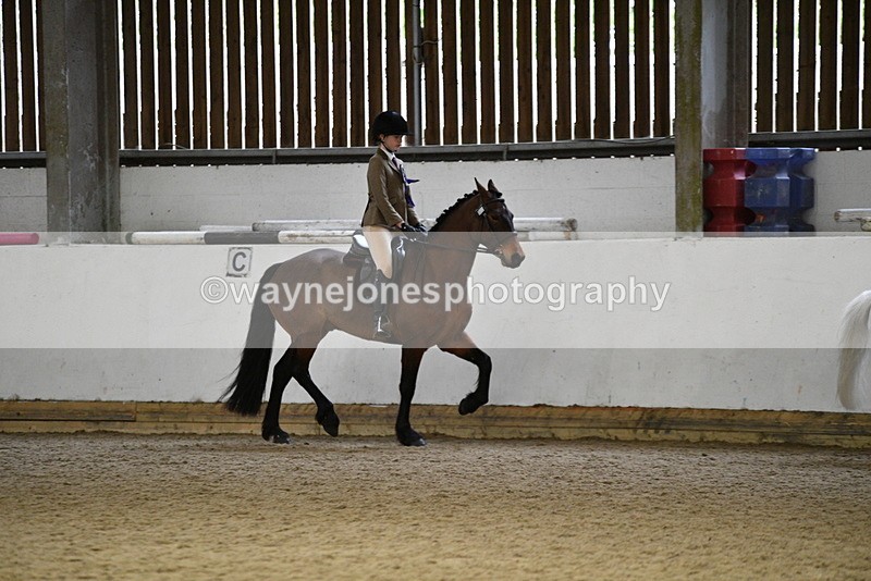 WJ5_7417 - Class 11 Ridden PC - RC Pony