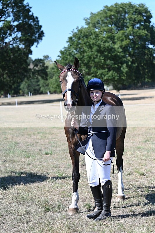 WJ7_1570 - Class 42 Most Handsome Gelding