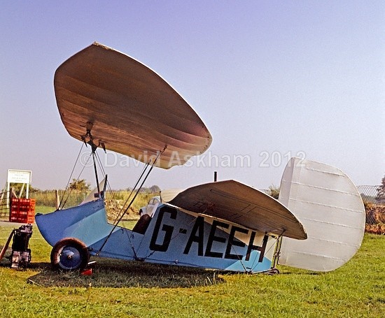 Flying Flea - Aircraft