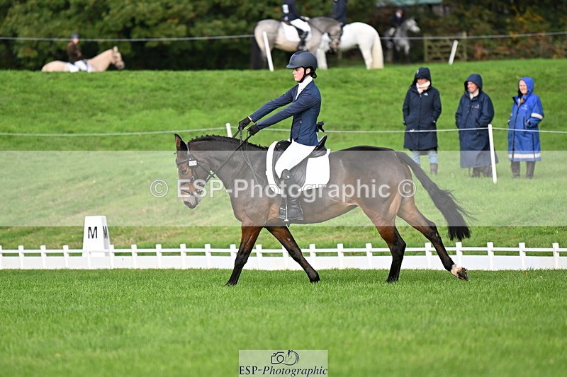 251023A-110001-02667 - G-511-Clara.Tuke