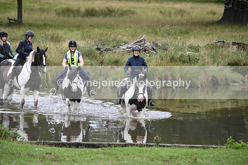 WJ7_2993 - Time at Water 11:37 to 12:13