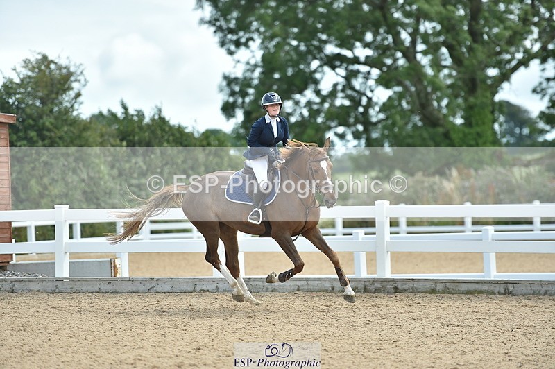 230723A-145600-13056 - Cls 20, 1 Star Silver 1.20m