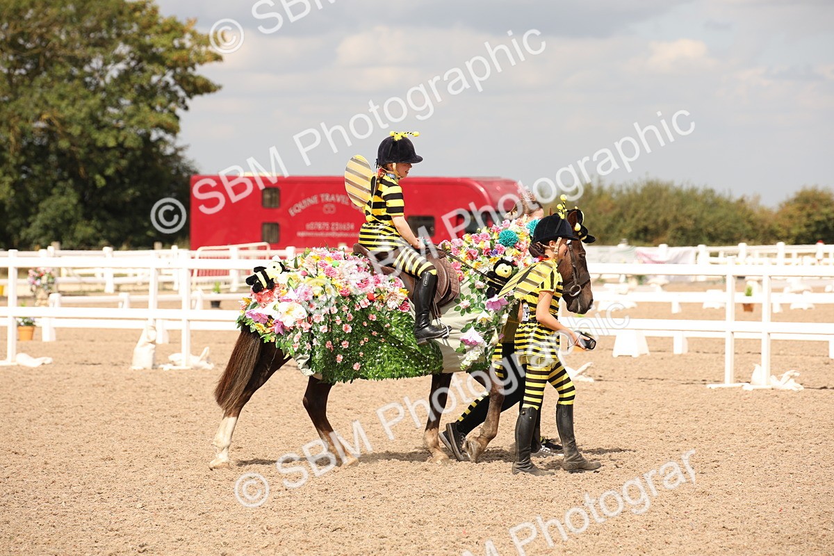 SBM_04677 - Class 21 Fancy Dress (IH or Ridden)