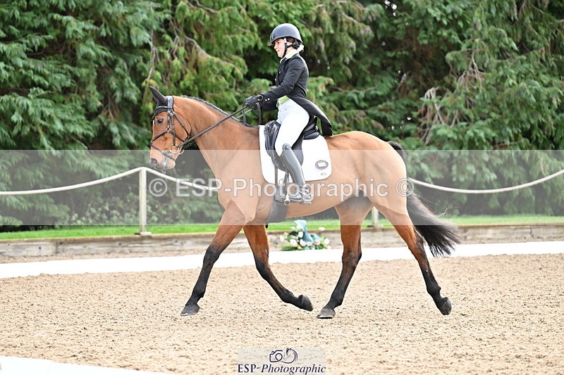 251023A-111429-01182 - C-227-Tarka.Abraham