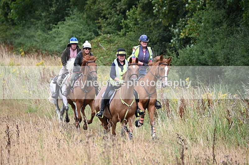 WJ6_2318 - Group 7