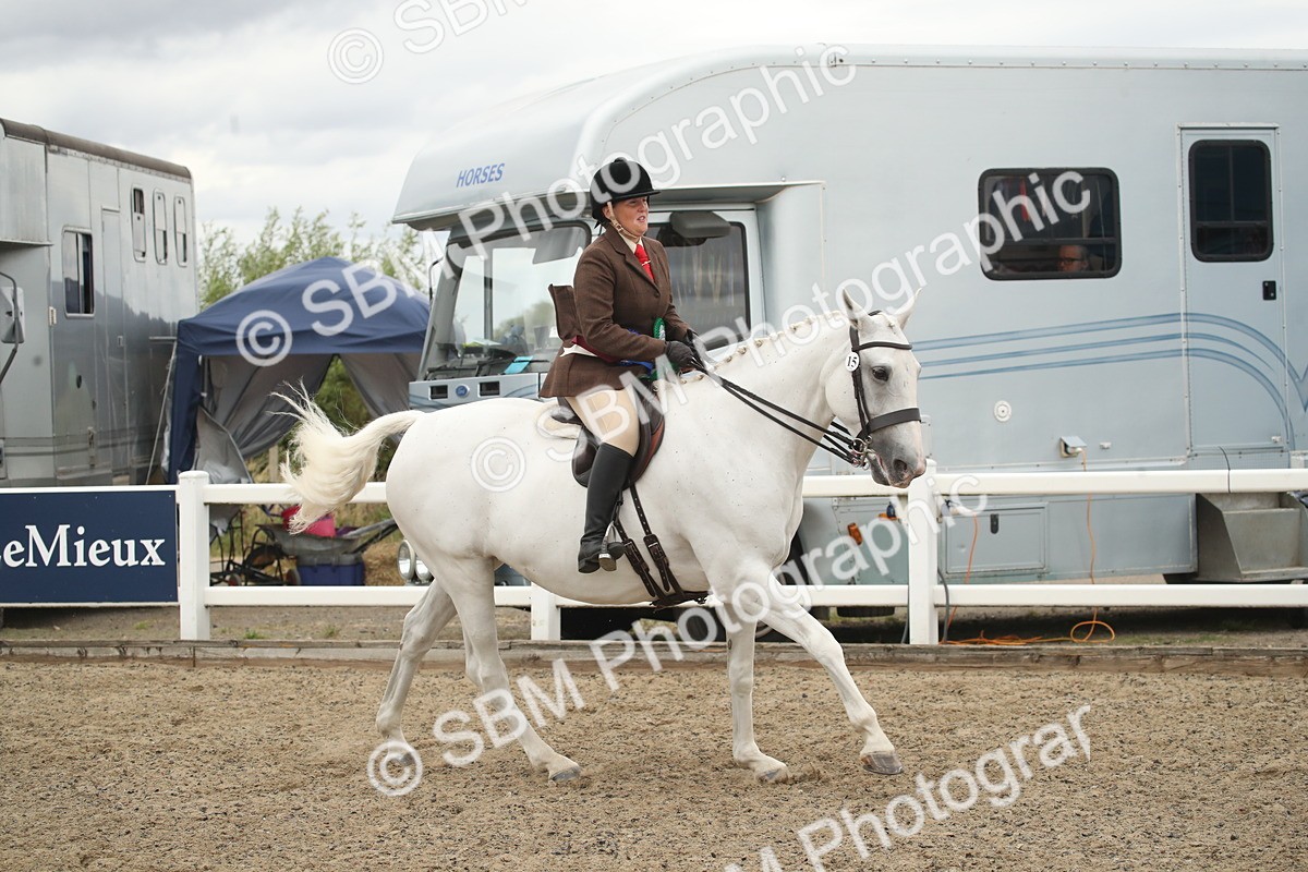 SBM_18343 - Class 509a - Working Veteran - 80cm (15-19)