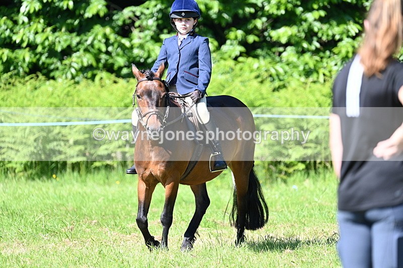 WJ7_0414 - Class 8 First Rally Pony