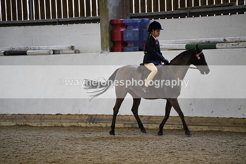 WJ5_6531 - Class 10 Childs Pony