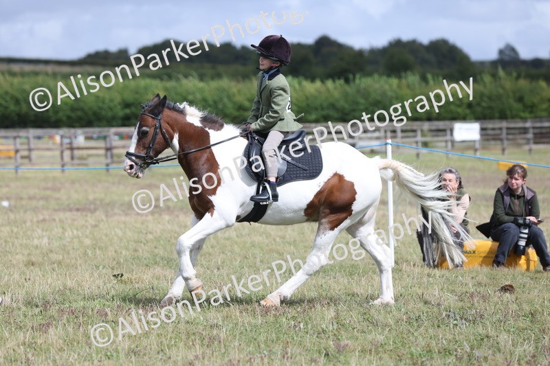 20250831-4322 - Class 20 - Ridden Coloured