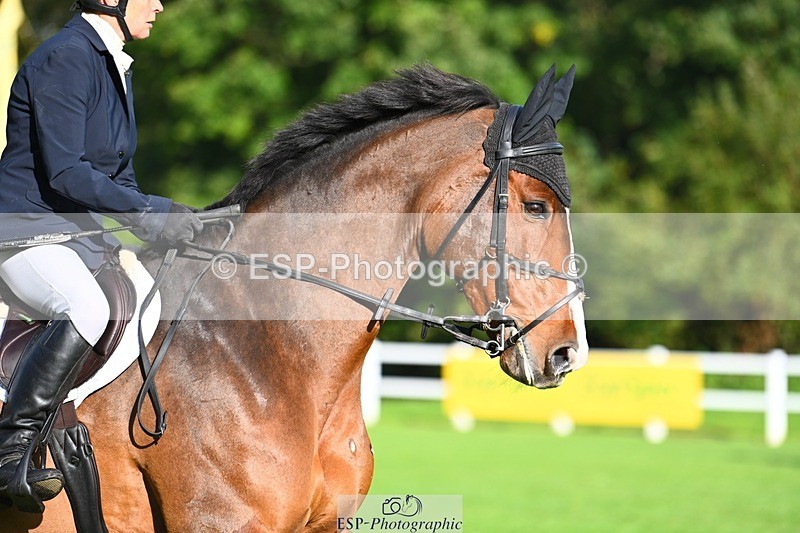 231020-105801-06287 - 105-BRIGHT.KNIGHT.III-Janet.Clarke-SJ