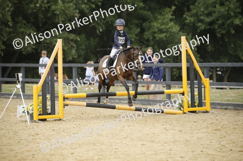 20250622-6005 - 60cm