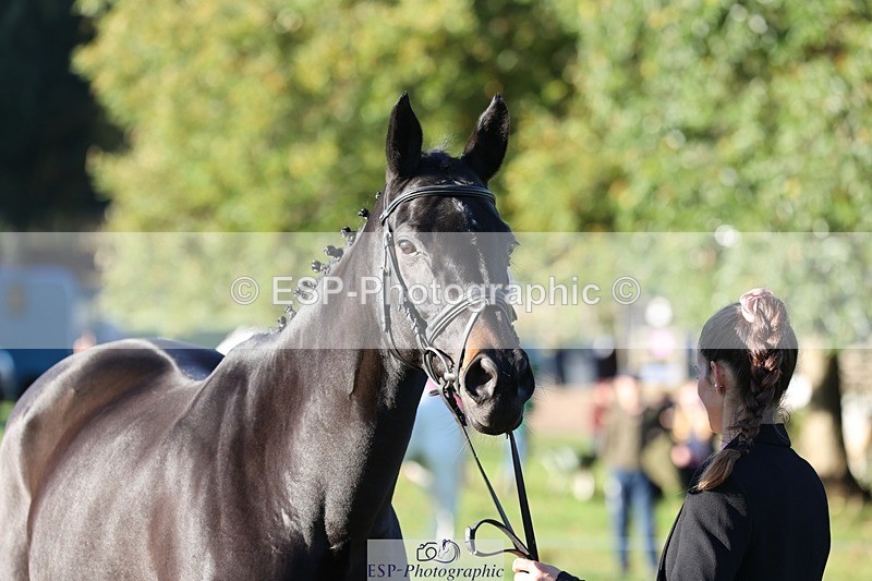 241027-085533-14900 - 463-Ilaria.Serra-FOXBURY.STORMBORN