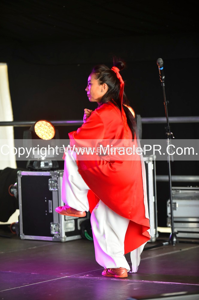 SH4_1455 - Tai Chi with Lisa Kay.