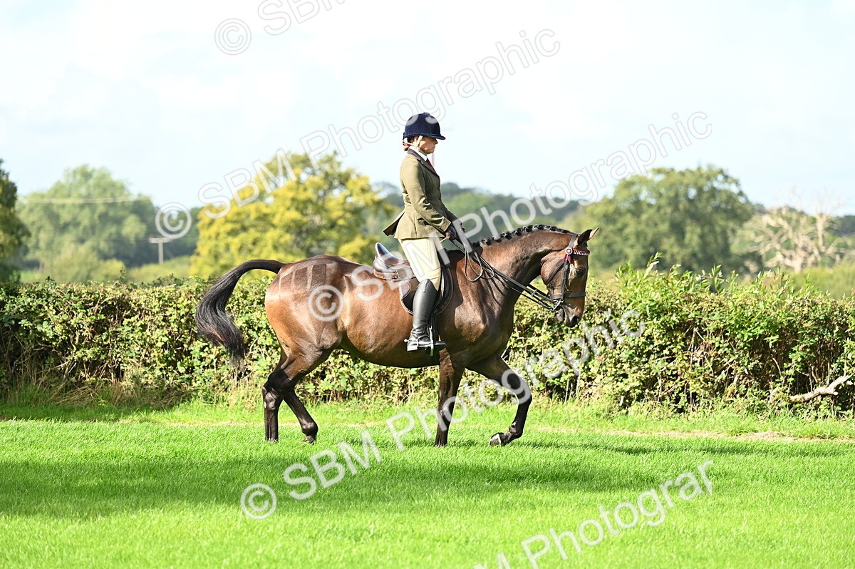 SBM_01738 - S2 - TSR Ridden Horse Showing