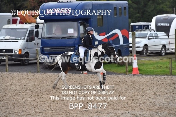 BPP_8477 - CLASS 3 Pony BritiNovice / 0.80m Open