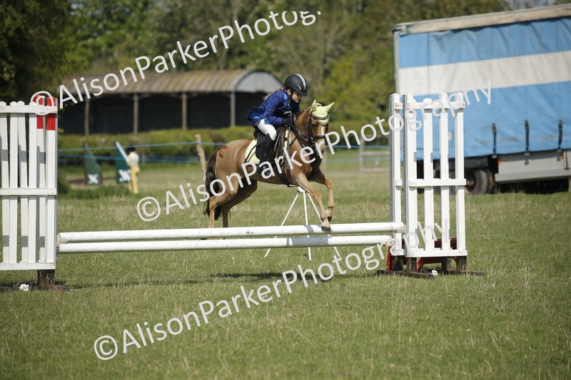 20250427-2113 - Class 13 - Novice Jumping 60cm