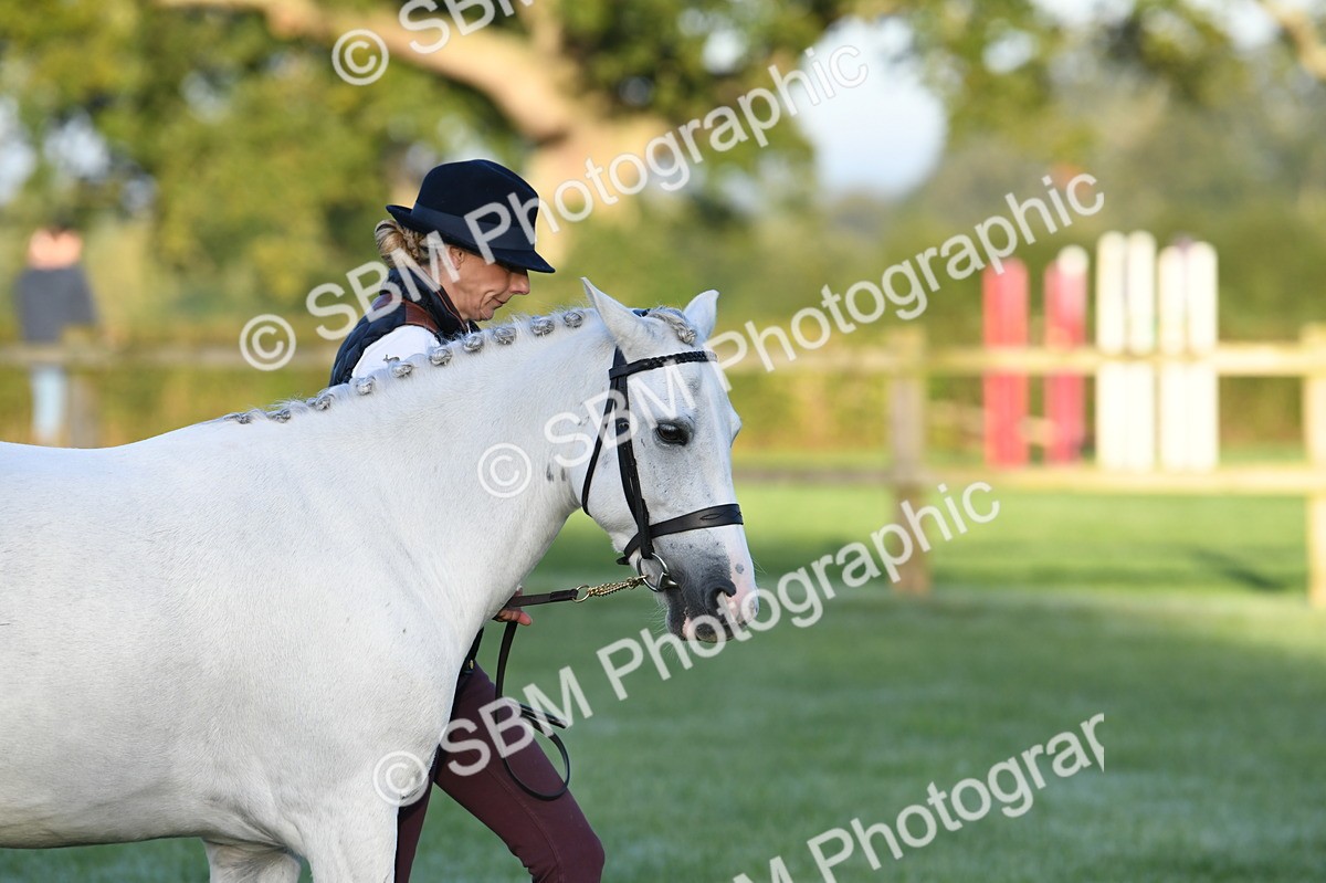 SBM_32471 - S15 - Condition & Turnout In Hand