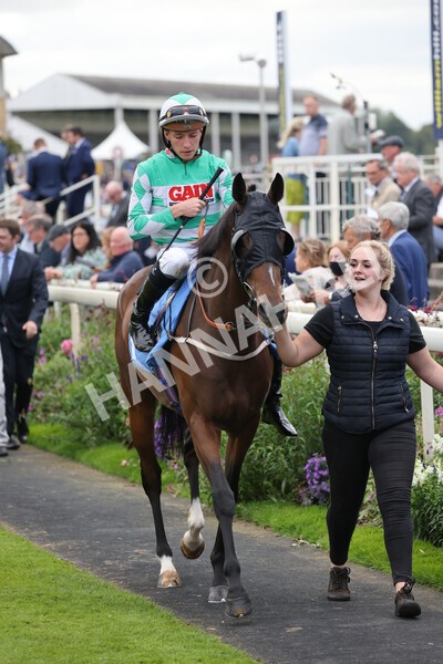 yr24092021r7-08 - Race 7 4.55pm William Hill Free or Four Fillies' Stakes