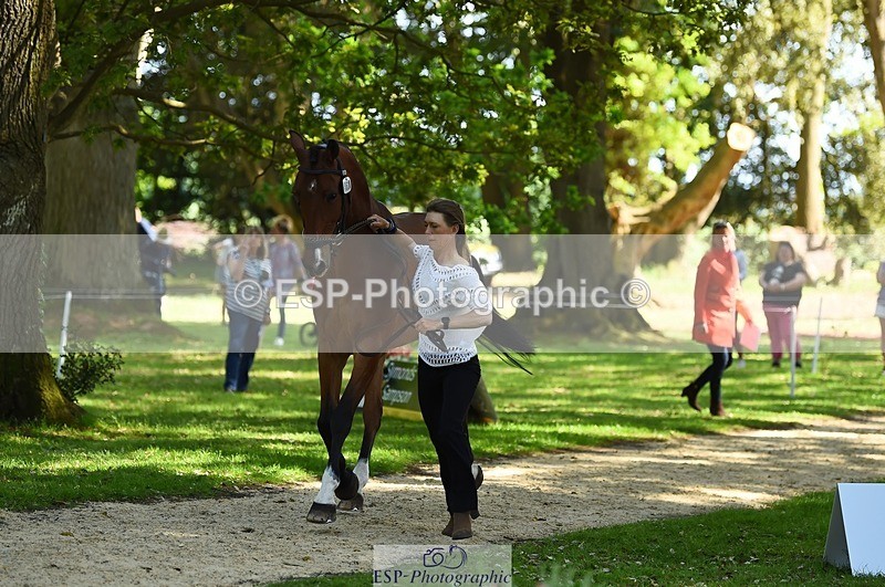 230524-154102-00433 - 367-ITAREUSO-Louisa_Lockwood-WEDTrotUp+DR