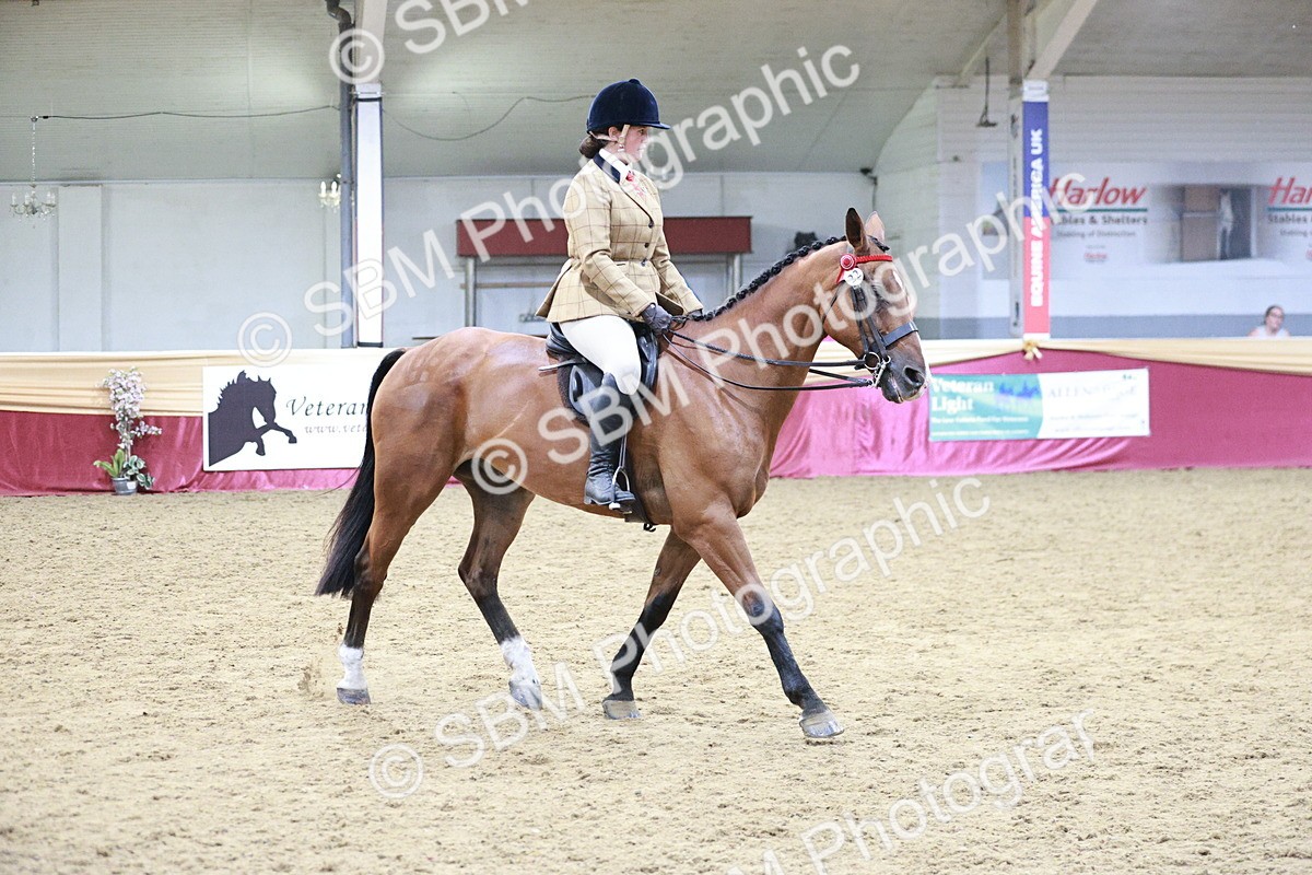 SBM_08185 - Class 11R - Regional Ridden Veteran