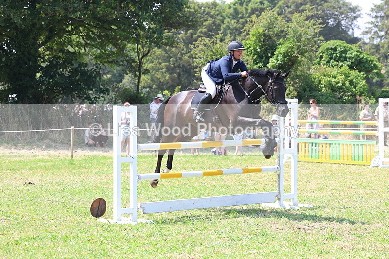 3E7A3375 - Class 10: Senior Foxhunter/1.20 open