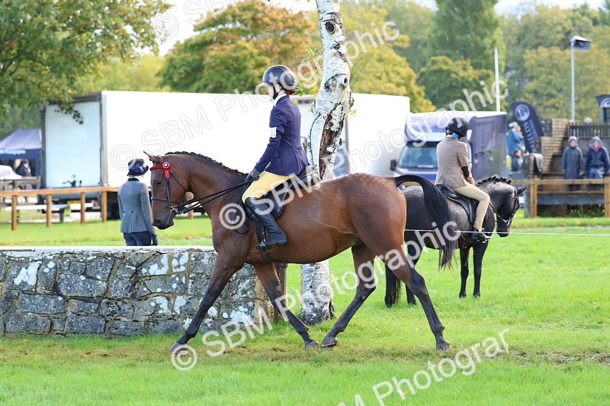 SBM_36900 - S11 - Best Ridden Horse & Pony
