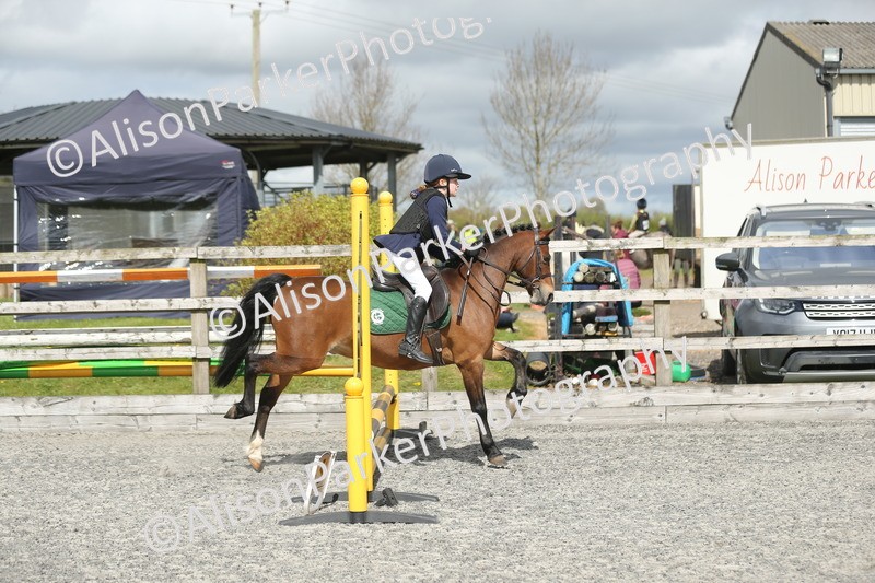 20260412-0756 - Show Jumping