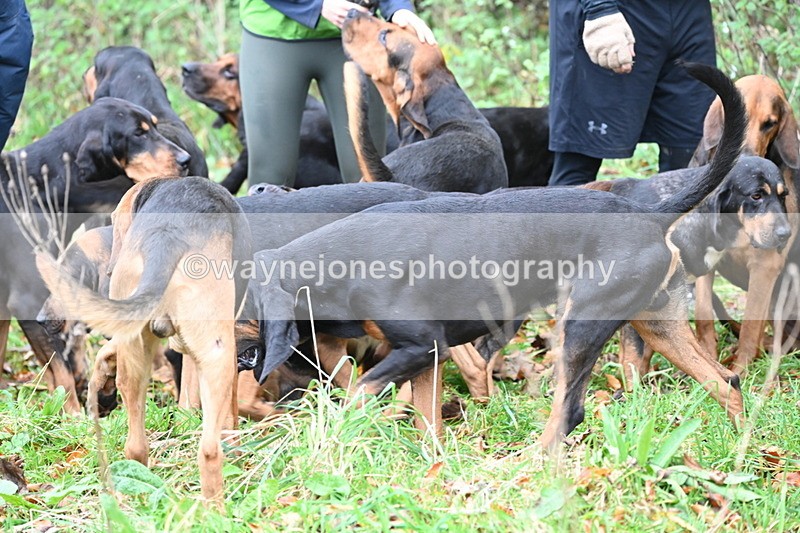 WJ6_8638 - Meet