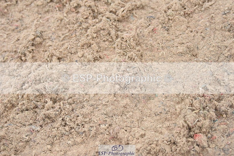 230916A-110106-03972 - Cls 14 Snr Foxhunter