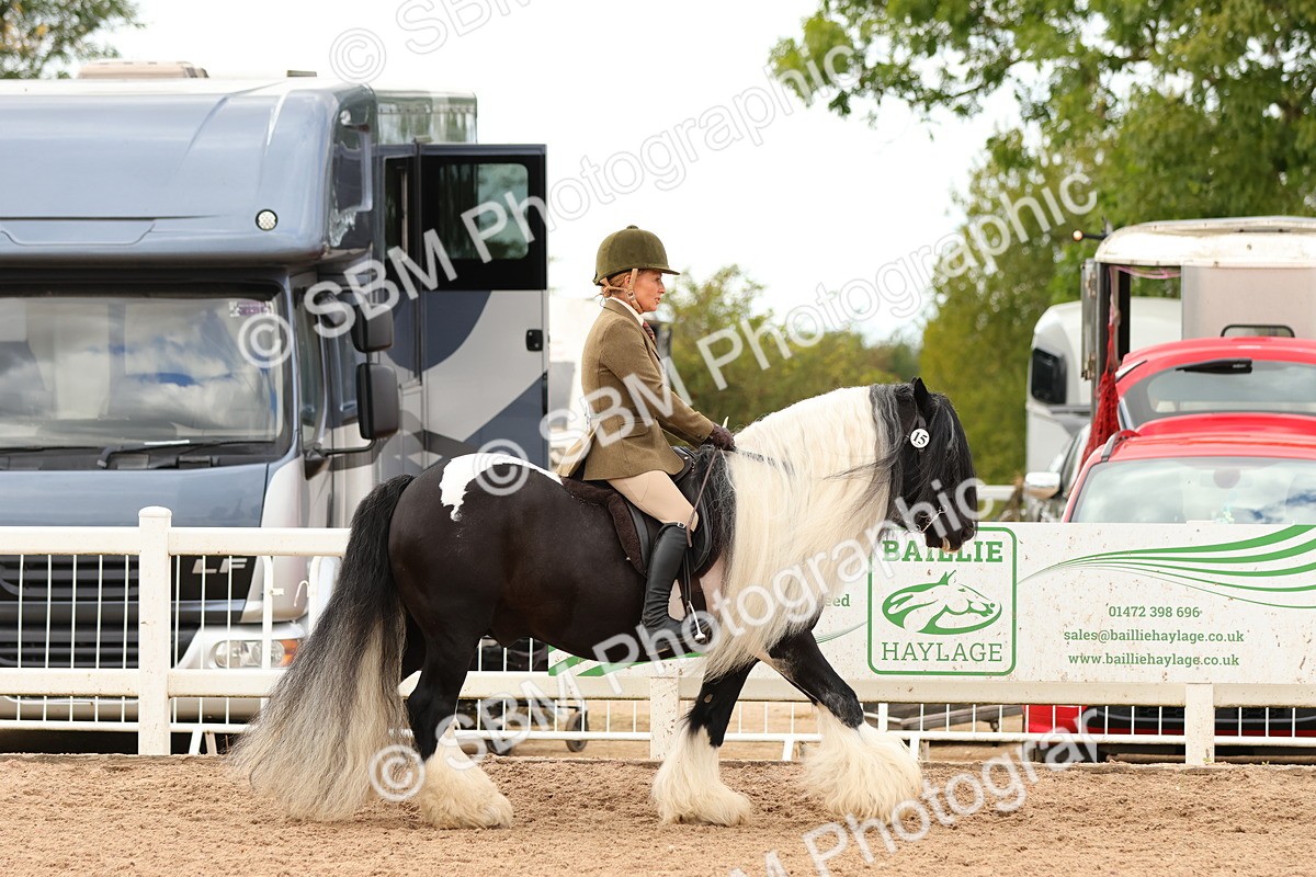 SBM_15634 - Class 215 - Ridden Traditional - Native Cobs