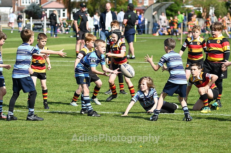  - Selby Rugby Festival 2025