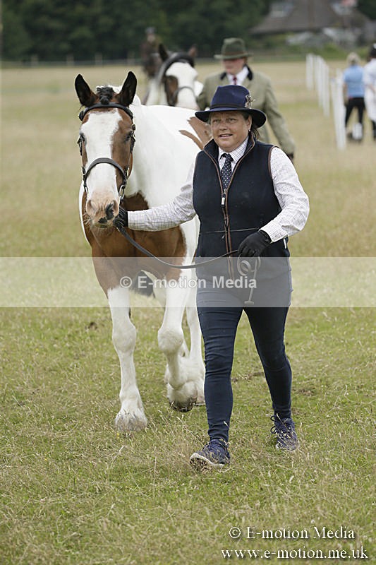 B230619-0751 - Bourne Valley Riding Club Summer Show 23/06/19